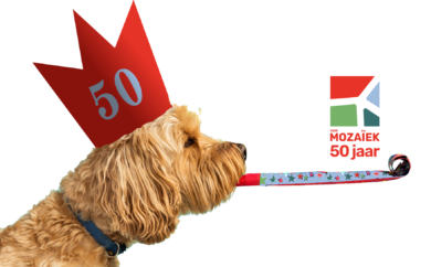 https://www.dc-mozaiek.be/feestjaar-2025-t-zal-welzijn/